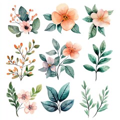 A vibrant collection of watercolored flowers and leaves, perfect for floral designs, invitations, or nature-themed projects.