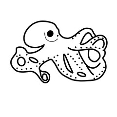 mollusk animal natural sea swim octopus
