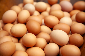 Fresh Eggs in a Basket