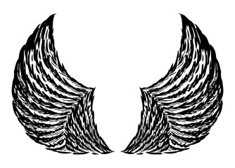 Hand drawn two angel wings, vector illustration isolated on white