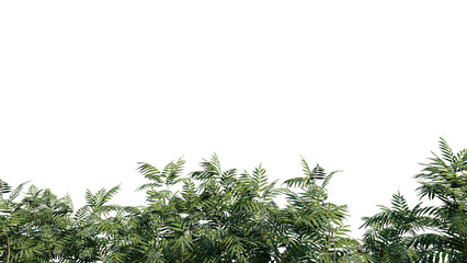 vegetation nature plant green natural environment foliage background 3d render.