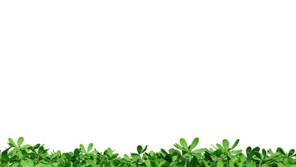 vegetation nature plant green natural environment foliage background 3d render.