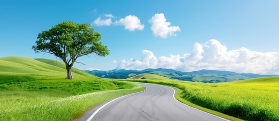 Scenic country road winding through lush green landscape with blue sky, white clouds, and lone tree. Perfect for nature and travel inspiration.