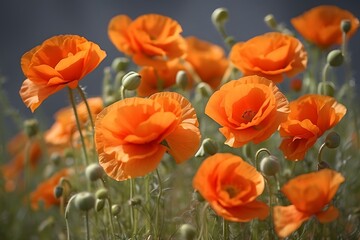 Obraz premium plants and flowers