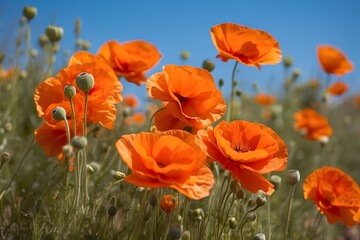 Naklejka premium plants and flowers