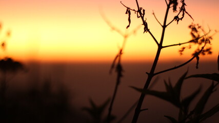 beautiful mountain view in the morning