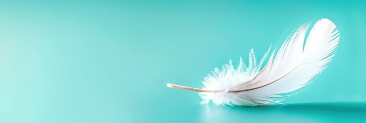 Close-up of a white feather on a teal background, representing softness, lightness, and tranquility, perfect for peaceful and delicate concepts. © Inlovehem