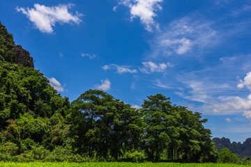 Wallpaper from the top of the mountain, overlooking the panorama, with the wind blowing all the time, fresh air, is a viewpoint that adventurers regularly visit.