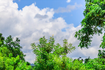 Natural background, high angle view from the observation point, blurred golden rays of the sun visible. The mountains that were setting on the horizon, changed beautifully with the wind.