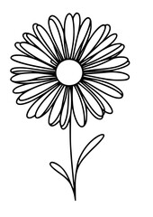 Flowers SVG, Floral SVG, Plant SVG, Blossom SVG, Flora SVG, Nature SVG, Leaves SVG, Green SVG, Gift for girl SVG, Flowers Silhouette, Flowers Design, Cut file for Cricut SVG, JPG, PNG