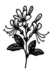 Flowers SVG, Floral SVG, Plant SVG, Blossom SVG, Flora SVG, Nature SVG, Leaves SVG, Green SVG, Gift for girl SVG, Flowers Silhouette, Flowers Design, Cut file for Cricut SVG, JPG, PNG