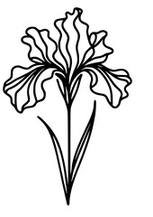 Flowers SVG, Floral SVG, Plant SVG, Blossom SVG, Flora SVG, Nature SVG, Leaves SVG, Green SVG, Gift for girl SVG, Flowers Silhouette, Flowers Design, Cut file for Cricut SVG, JPG, PNG