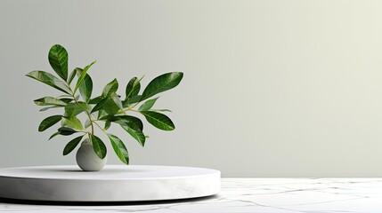 podium design for product display or product stand with leaf ornaments and minimalist background