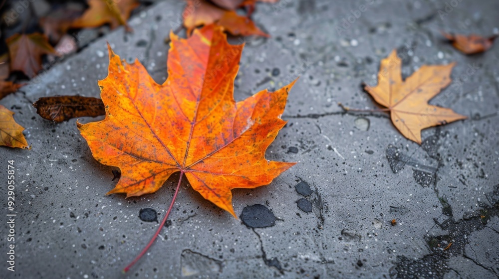 Poster bright orange and yellow leaves rest on a gray concrete surface during autumn in a tranquil park set