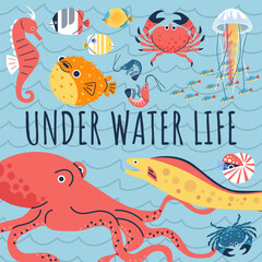 Under water life poster, tropical ocean or sea fauna, marine wildlife, octopus, sea crab, crab other underwater animals