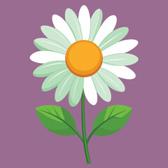 White daisies, blue, purple background