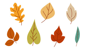 Obraz premium Hand drawn autumn leaves clipart