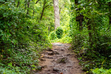 Hiking trail