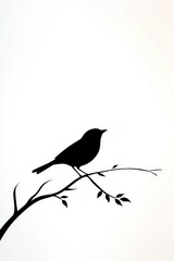 Obraz premium A silhouette of a bird perched gracefully on a delicate branch in soft light