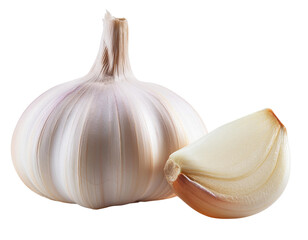 Fresh garlic bulb and clove isolated on white background, perfect for culinary, health, and natural food images.