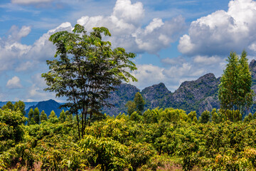 Obraz premium Natural background, high angle view from the observation point, blurred golden rays of the sun visible. The mountains that were setting on the horizon, changed beautifully with the wind.