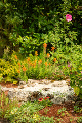 Serene Garden Scene with Vibrant Flowers and Lush Green Foliage