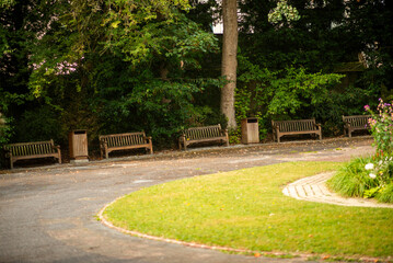 Naklejka premium Empty Park Benches in Serene Green Park on a Quiet Day