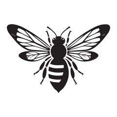 Obraz premium Adobe Illustrator Artwork