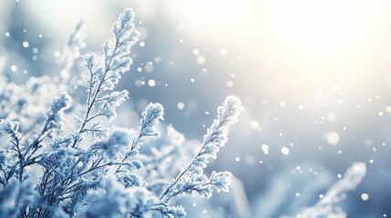 Create a crisp winter background with cool colors, frosty textures