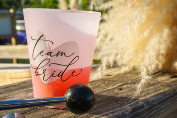 Team bride cup