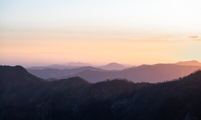 Beautiful sequoia national park in California
