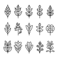 Collection of Simple Line Drawn Floral Elements
