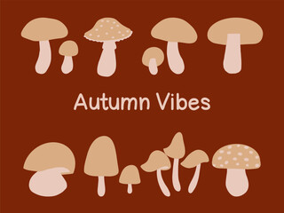 Illustration of various mushrooms with autumn vibes on a warm background