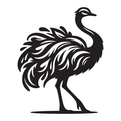 Ostrich silhouette vector illustration, Ostrich emu bird vector illustration on a white background