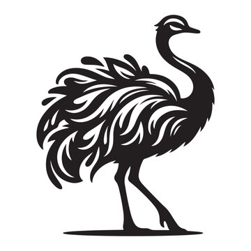 recommend clip art: Ostrich silhouette vector illustration, Ostrich emu bird vector illustration on a white background