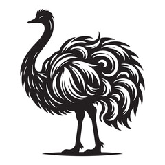 Ostrich silhouette vector illustration, Ostrich emu bird vector illustration on a white background