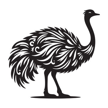 recommend clip art: Ostrich silhouette vector illustration, Ostrich emu bird vector illustration on a white background