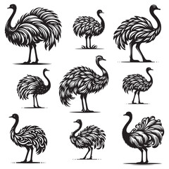 Ostrich Bundle silhouette vector illustration, Ostrich emu bird vector illustration on a white background