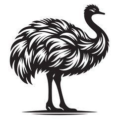 Ostrich silhouette vector illustration, Ostrich emu bird vector illustration on a white background