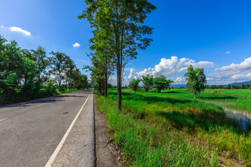 Nature Wallpaper (Mountains, Green Fields, Roadside Accommodation, Twilight Sky) The beauty of nature while traveling, with the wind blowing through the blurred leaves.