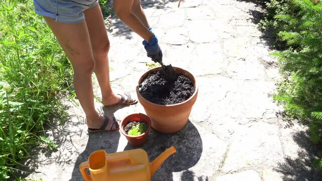 A woman makes holes in a pot with a spatula for planting plants. A clay pot with earth is being prepared for planting flowers. High quality 4k footage