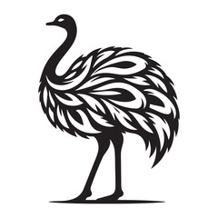 Ostrich silhouette vector illustration, Ostrich emu bird vector illustration on a white background