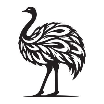 recommend clip art: Ostrich silhouette vector illustration, Ostrich emu bird vector illustration on a white background