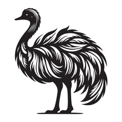 Ostrich silhouette vector illustration, Ostrich emu bird vector illustration on a white background