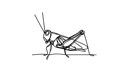 Grasshopper line art illustration vector