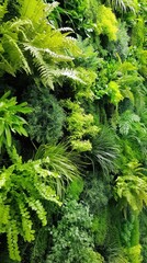 Fototapeta premium A vibrant collection of diverse greenery creates a stunning indoor vertical garden