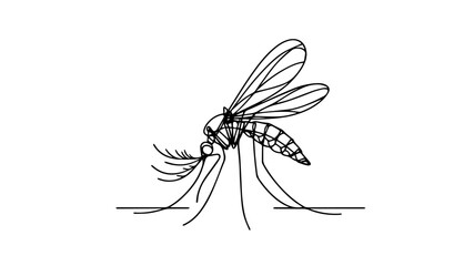 mosquito line art drawing vector