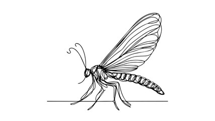 Mayfly single line drawing vector