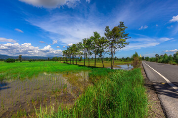 Nature Wallpaper (Mountains, Green Fields, Roadside Accommodation, Twilight Sky) The beauty of nature while traveling, with the wind blowing through the blurred leaves.