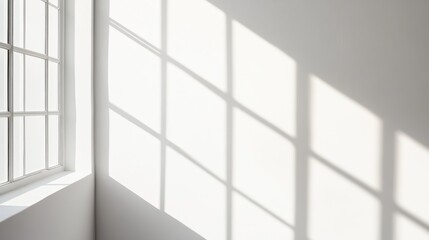A bright corner with window shadows creating a minimalist aesthetic.